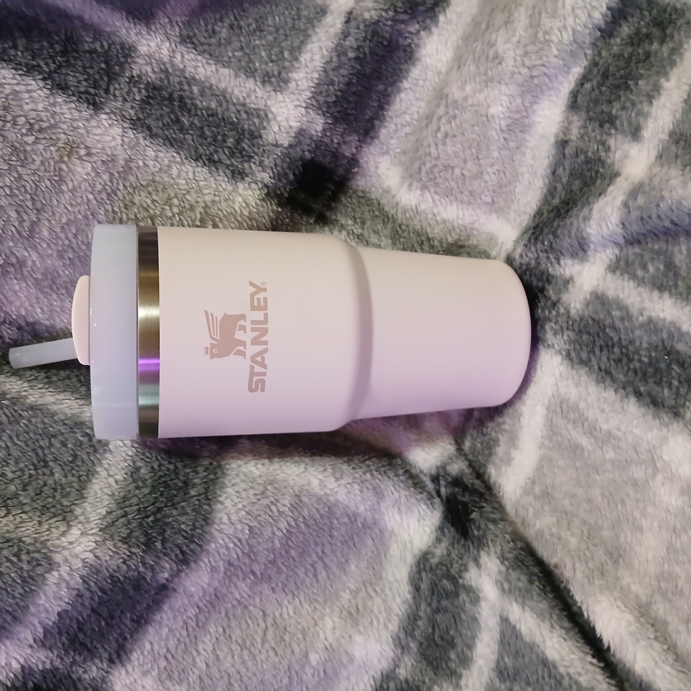 20oz Pink Stanley Travel Mug